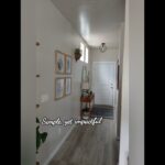 Indoor Plant Decor