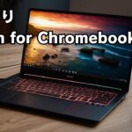 【やっぱり】ついにサービス終了 Steam for Chromebook ゲームに手を出した結果が悲しすぎた…