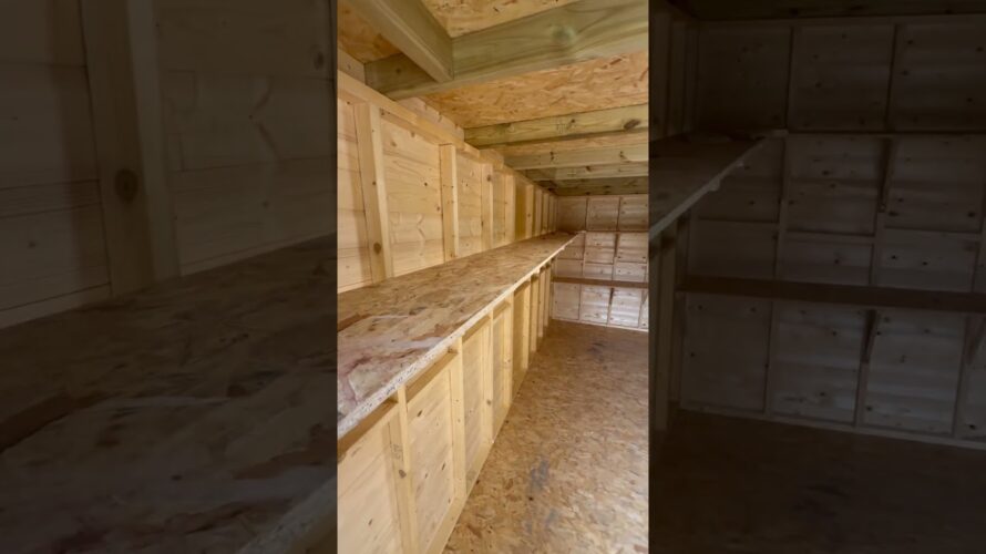 Shed Shelf Upgrade #diy #shed #beforeandafter