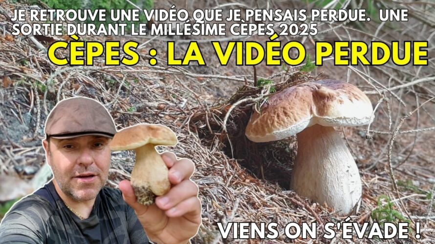 Je retrouve une vidéo Cèpes. Cette Sortie était un défi = la persévérance récompense ! #champignons